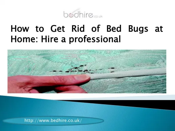 How to Get Rid of Bed Bugs at Home: Hire a professional