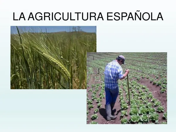 la agricultura en espana
