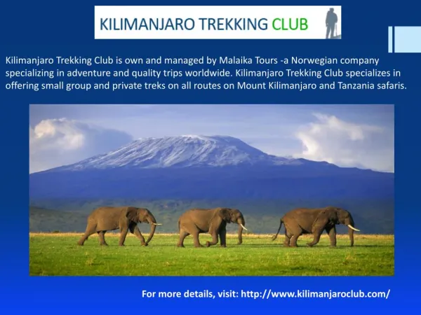 Complete Guide to Mount Kenya & Safari Club