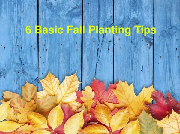 6 Basic Fall Planting Tips