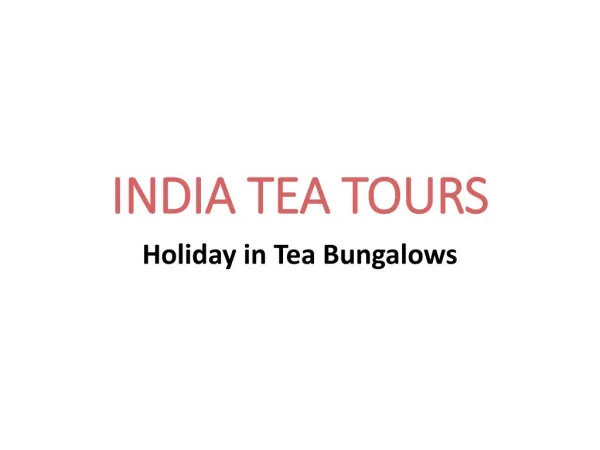 Tea tours in India
