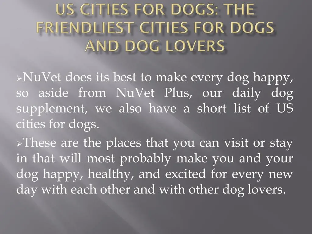 us cities for dogs the friendliest cities for dogs and dog lovers