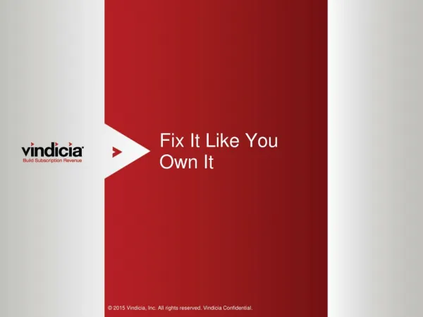 Fix It Like You Own It - Vindicia