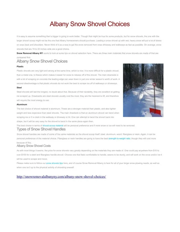 Albany Snow Shovel Choices