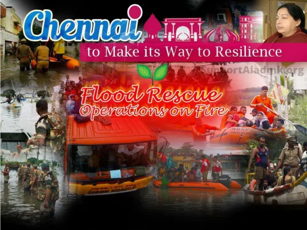 Chennai Flood Rescue Operations Continuing in Full Swing