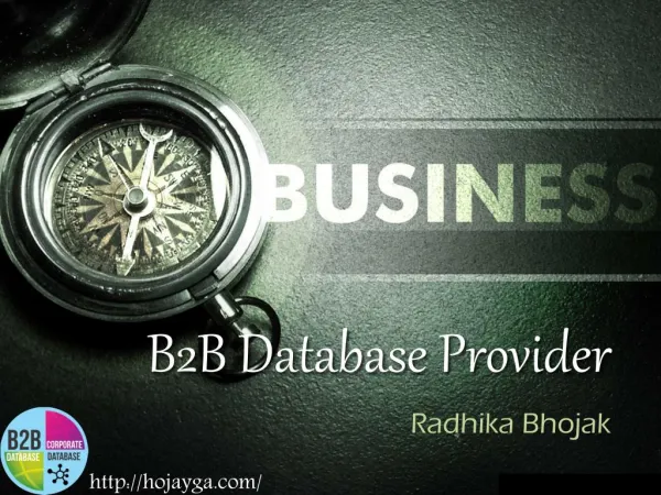B2B Database Provider
