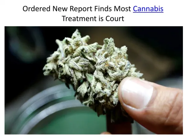 Ordered New Report Finds Most Cannabis Treatment is
