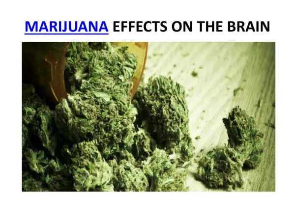 marijuana effects on the brain