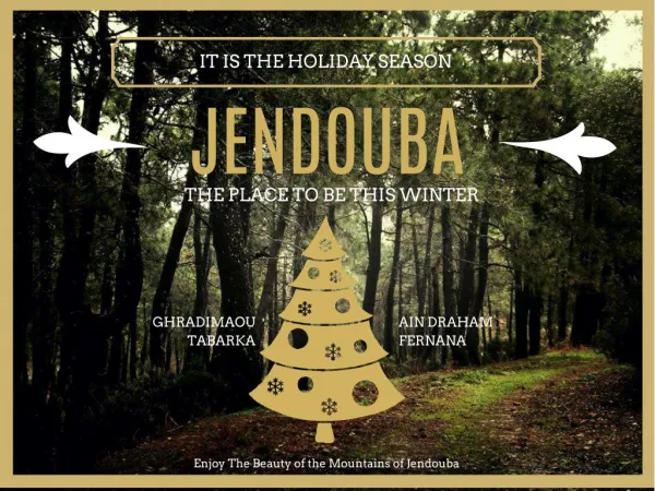Jendouba Holiday