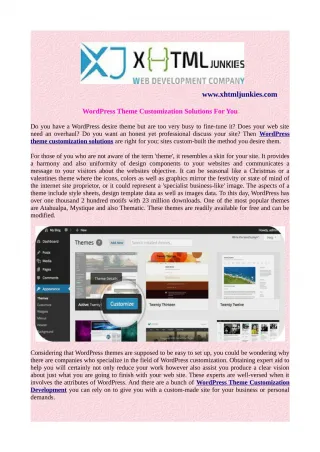 WordPress Theme Customization Solutions For You - slide 1