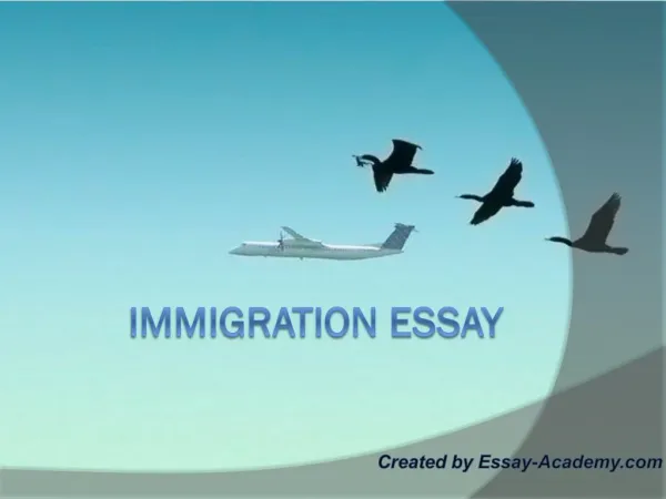 Immigration Essay