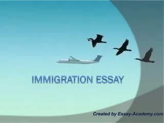 Immigration Essay - slide 1
