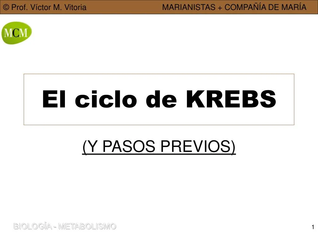 el ciclo de krebs