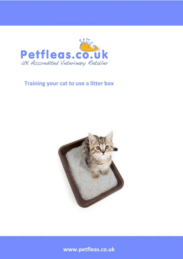 Training your cat to use a litter tray