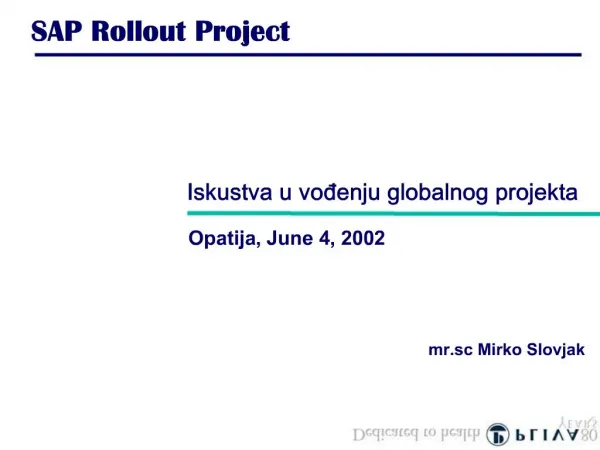 SAP Rollout Project