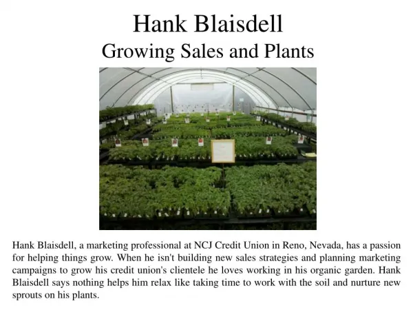 Hank Blaisdell - Growing Sales and Plants