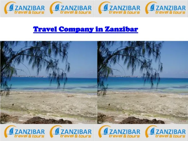 Travel Company in Zanzibar