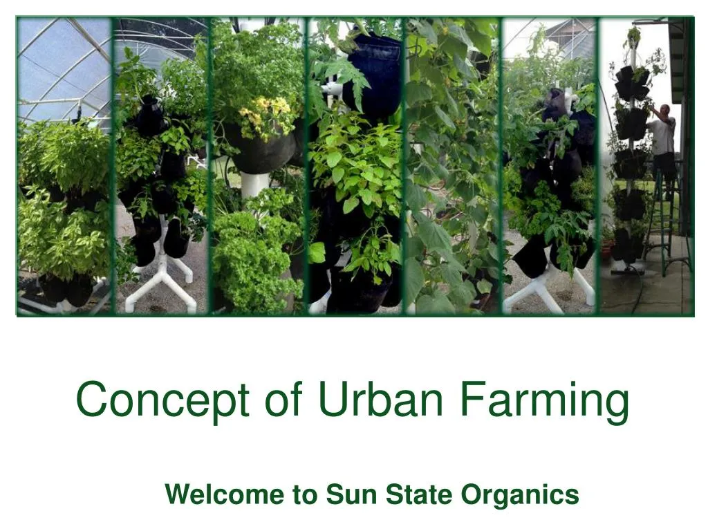 concept of urban farming