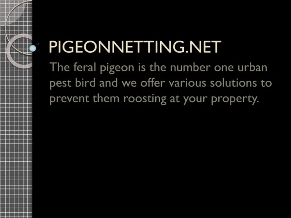 Pigeon Netting London