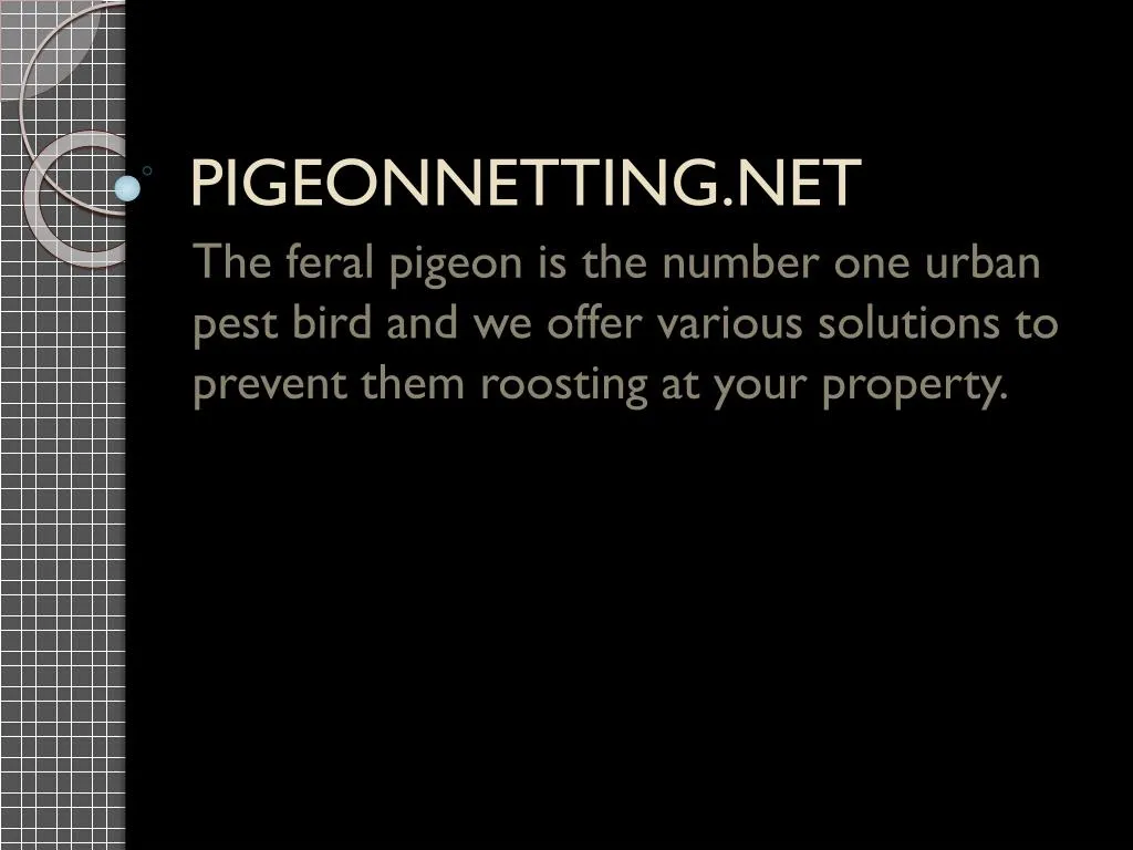 pigeonnetting net