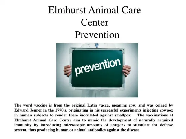 Elmhurst Animal Care Center prevention