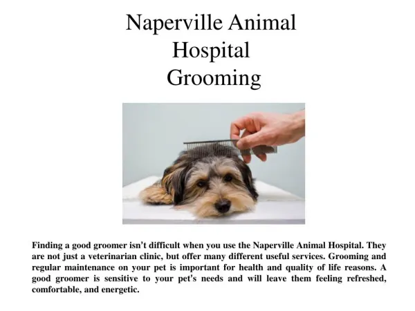 Naperville Animal Hospital Grooming