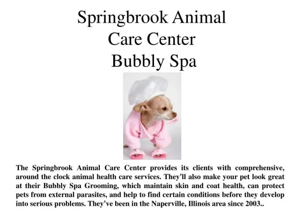 Springbrook Animal Care Center Bubbly Spa