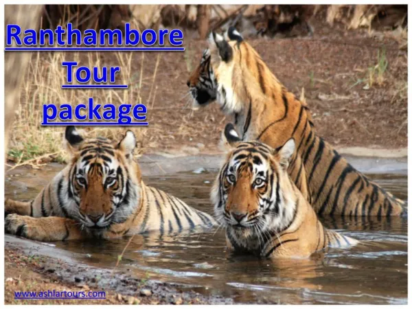 ranthambore tour package