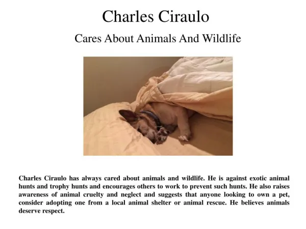 Charles Ciraulo- Cares About Animals And Wildlife
