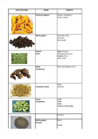 Adya Group Indian Spice Manufacturers and Suppliers - slide 1