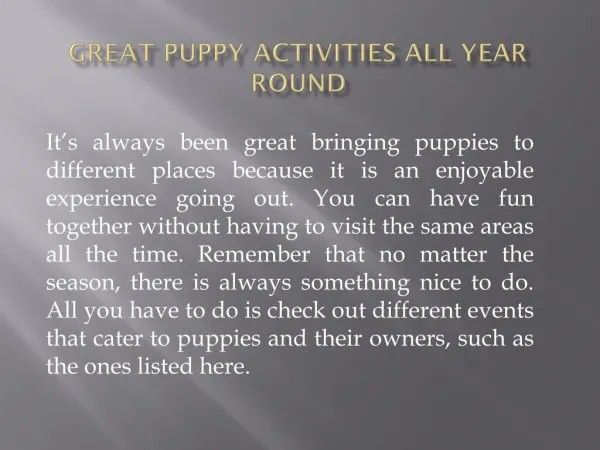 Great Puppy Activities All Year Round