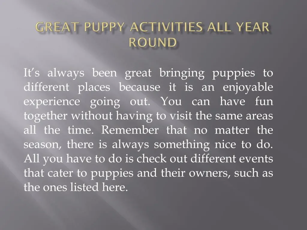 great puppy activities all year round