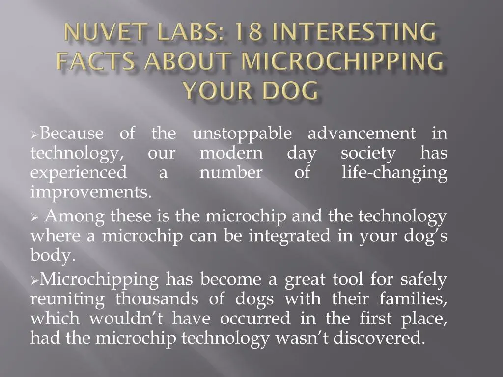 nuvet labs 18 interesting facts about microchipping your dog