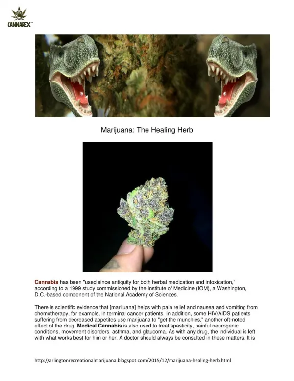 Marijuana: The Healing Herb