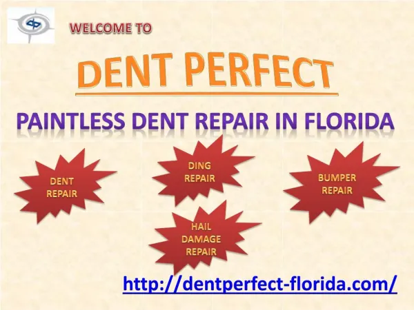 Dent Wizard in Florida