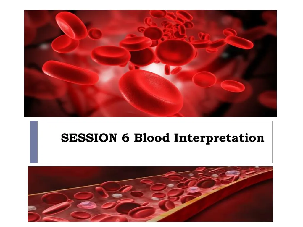 session 6 blood interpretation