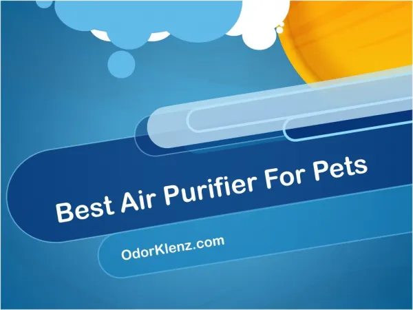 Best Air Purifier for Pets