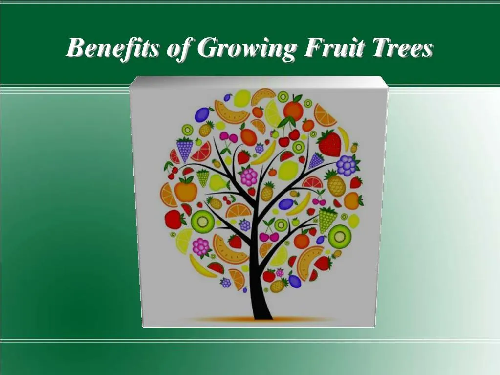benefits of growing fruit trees