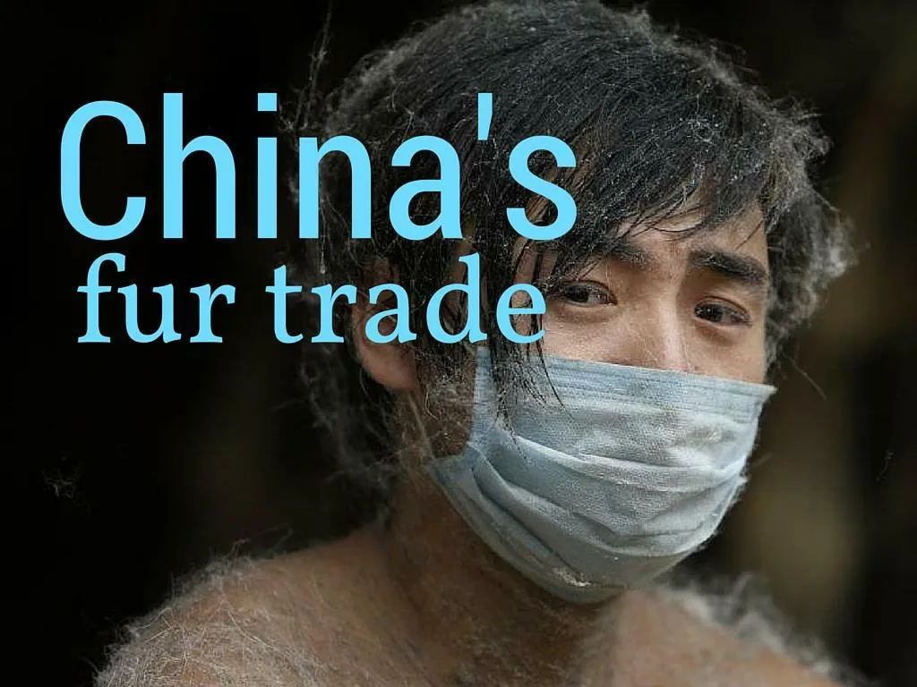 china s fur trade
