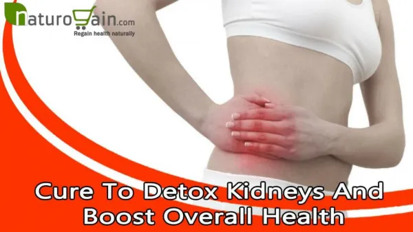 Cure To Detox Kidneys And Boost Overall Health
