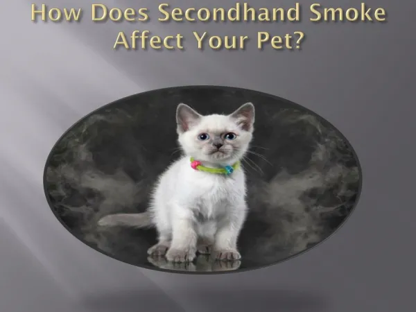 How Does Secondhand Smoke Affect Your Pet?
