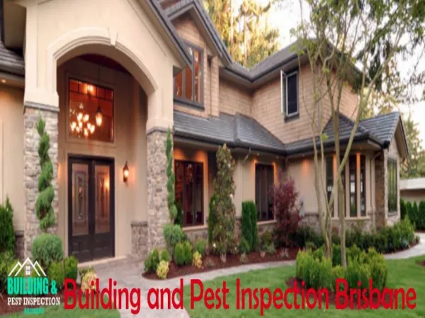 Reliable Building and Pest Inspection Services in Brisbane