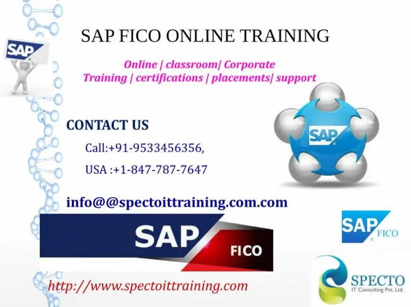 SAP FICO ONLINE TRAININING IN SOUTH AFRICA