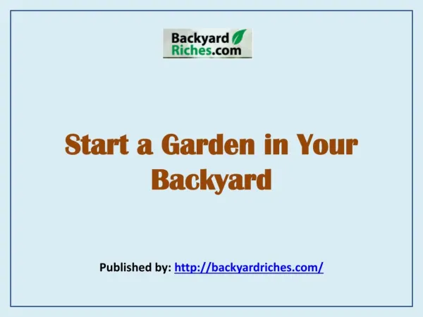 Start a Garden in Your Backyard