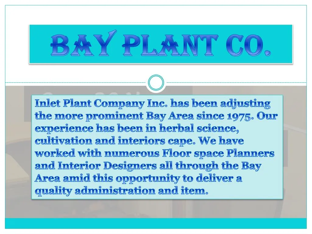 bay plant co
