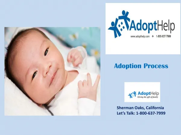 Newborn Adoption Process
