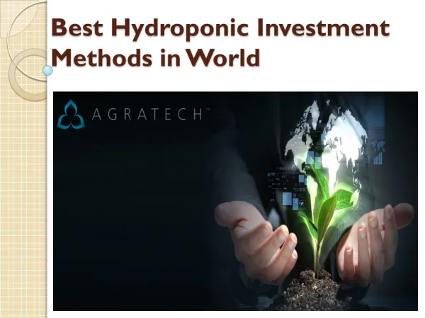 Best Hydroponic Investment Methods in World
