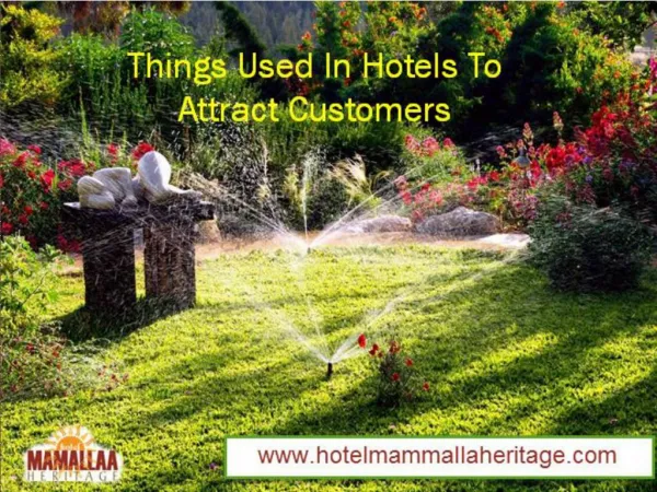 Things Used In Hotels To Attract Customers