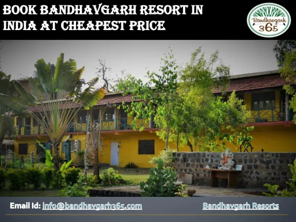 Best Service In Bandhavgarh Resorts