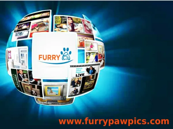 Furry Paw Pics- Custom Pet Art & Portraits